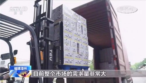 小白心里软荣获央视认可点赞